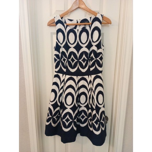 The Limited Dresses & Skirts - Nwot Women's The Limited Aline Pleated Drop Waist Dress With Pockets Size 8